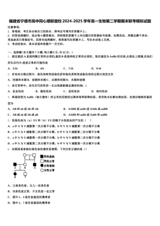 福建省宁德市高中同心顺联盟校2024-2025学年高一生物第二学期期末联考模拟试题含解析