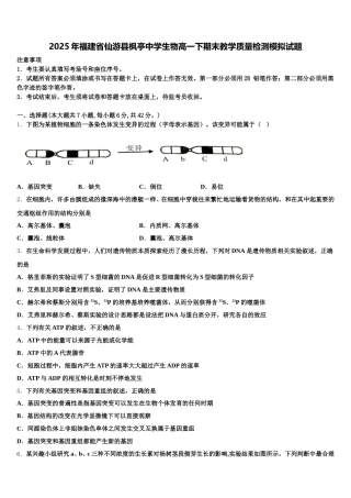 2025年福建省仙游县枫亭中学生物高一下期末教学质量检测模拟试题含解析