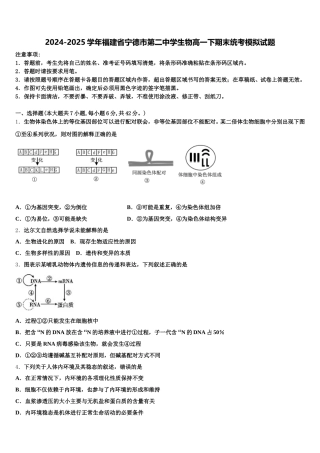 2024-2025学年福建省宁德市第二中学生物高一下期末统考模拟试题含解析