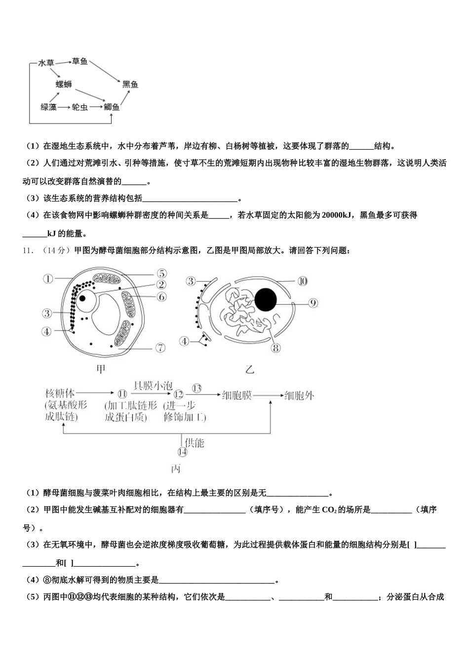 福建师范大学大附属中学2025年高一生物第二学期期末学业质量监测模拟试题含解析_第3页
