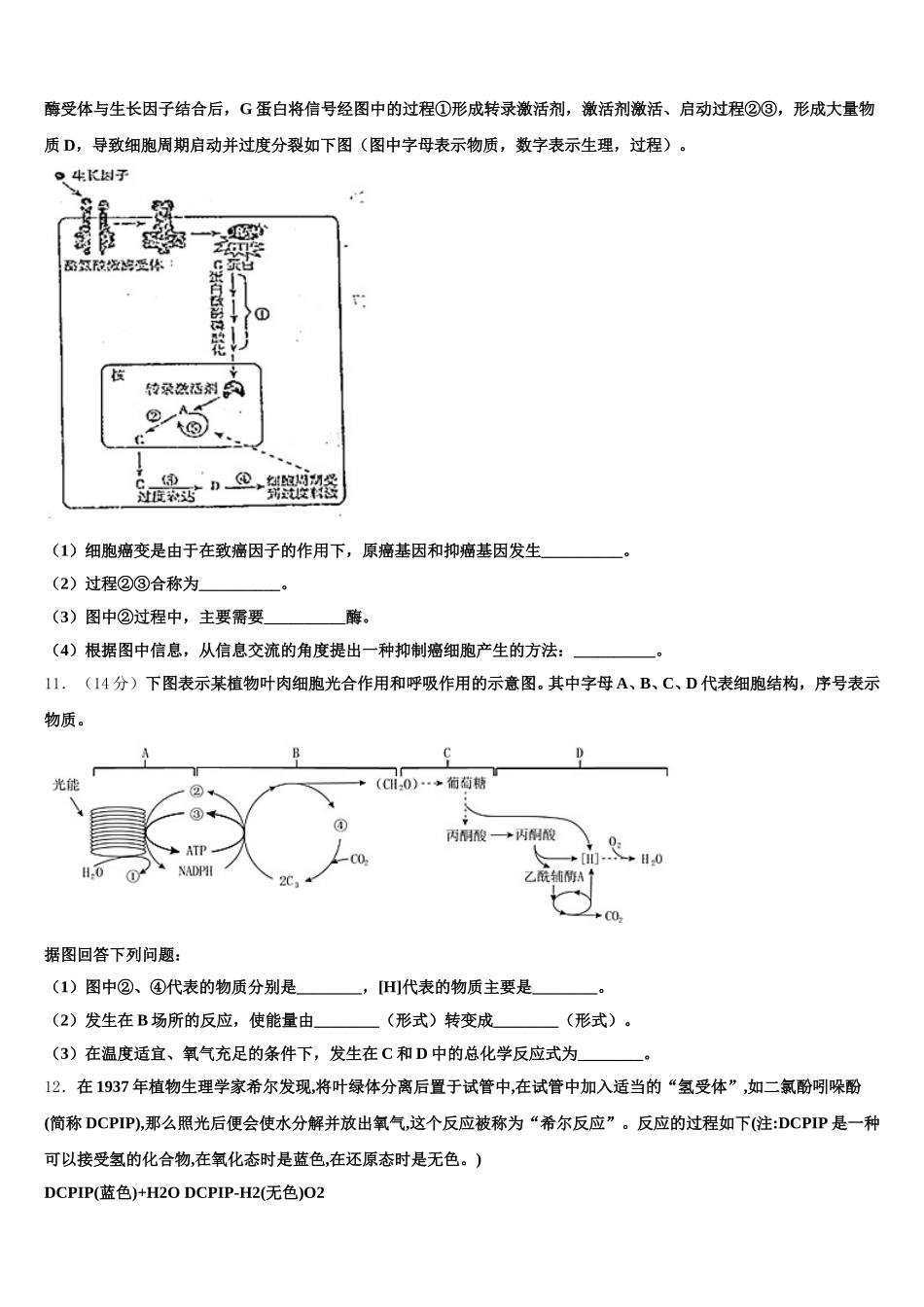 福建省仙游一中2024-2025学年高一下生物期末经典试题含解析_第3页