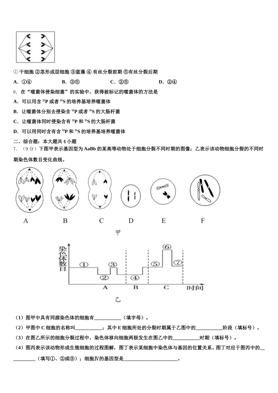 2025年福建省福州市福州师范大学附属中学生物高一下期末经典试题含解析_第2页