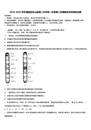 2024-2025学年福建省东山县第二中学高一生物第二学期期末统考模拟试题含解析
