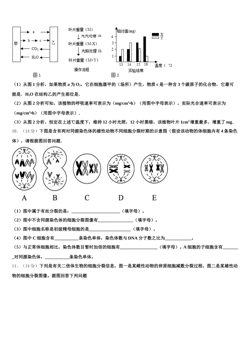 2025届福建省莆田市八中高一下生物期末联考模拟试题含解析_第3页