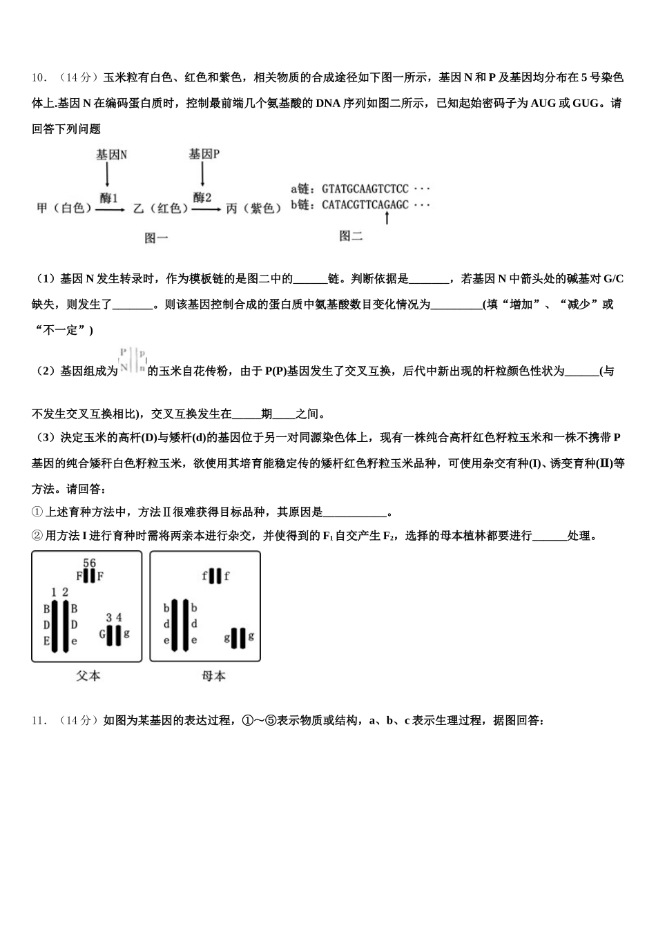 2025年福建省厦门集美中学生物高一第二学期期末监测模拟试题含解析_第3页