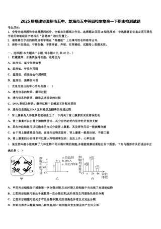 2025届福建省漳州市五中、龙海市五中等四校生物高一下期末检测试题含解析