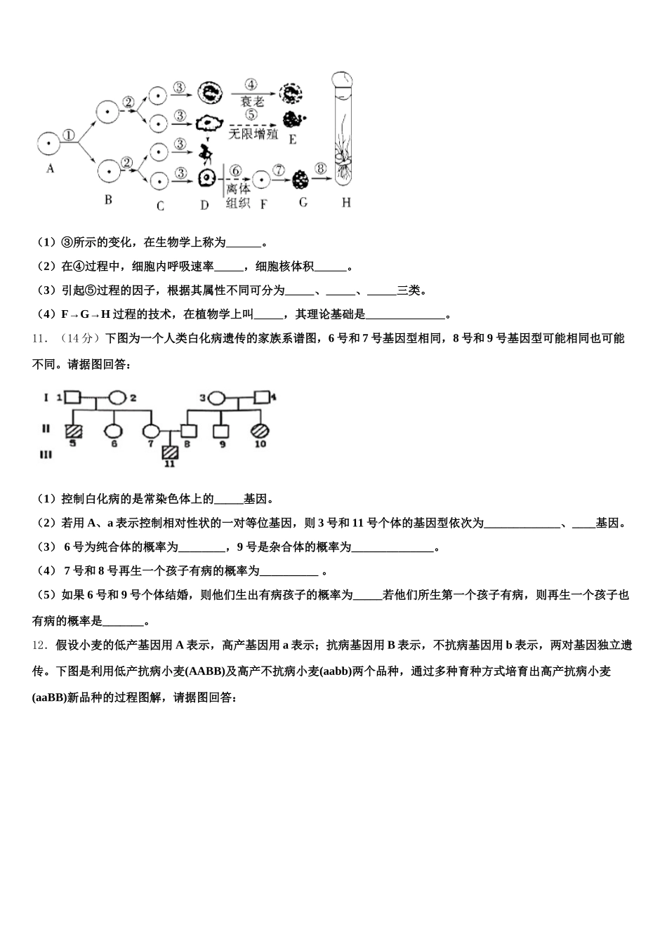 福建省仙游金石中学2024-2025学年生物高一下期末预测试题含解析_第3页
