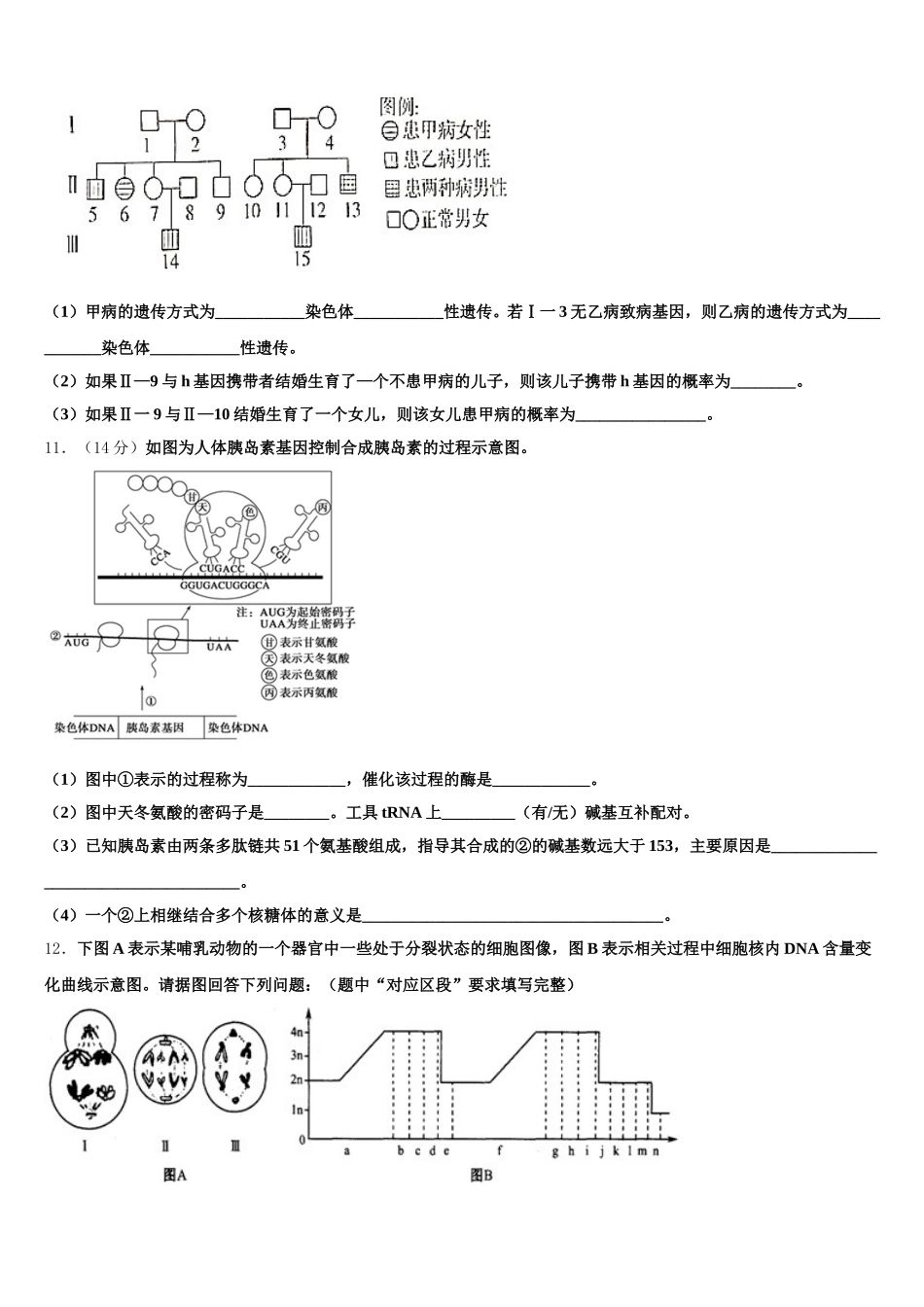 2025届福建省泉州市永春县永春第一中学高一下生物期末复习检测模拟试题含解析_第3页