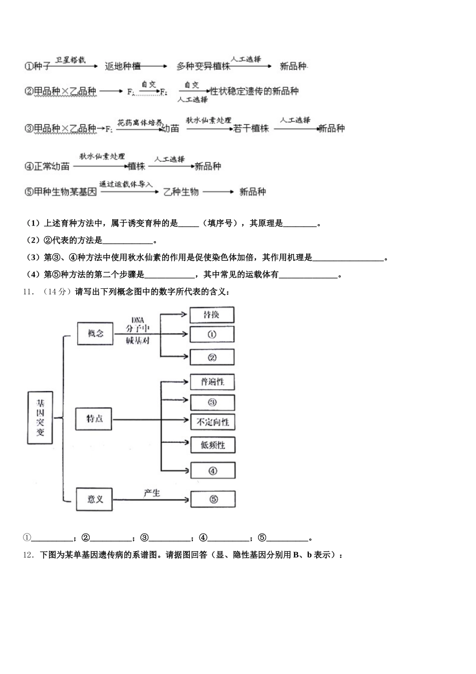 福建省宁德市高中同心顺联盟校2025届高一下生物期末达标检测试题含解析_第3页