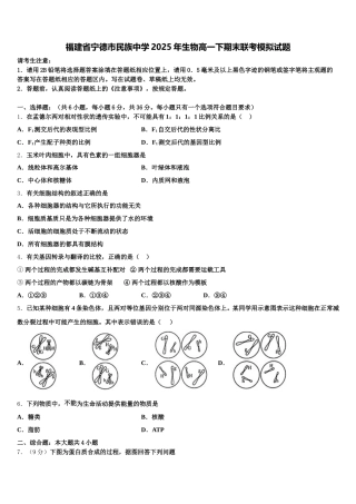 福建省宁德市民族中学2025年生物高一下期末联考模拟试题含解析