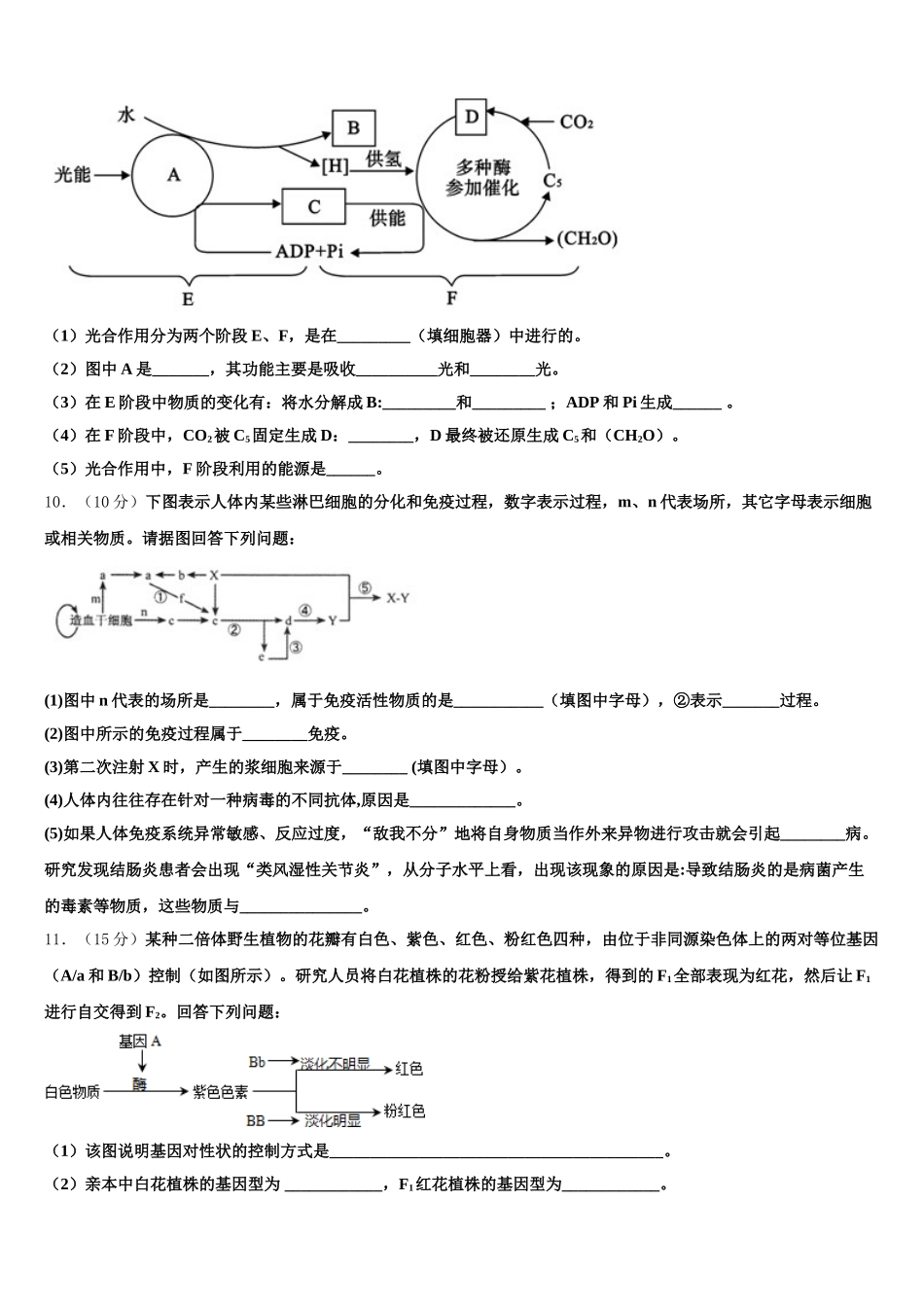 福州市第十九中学2025届生物高一下期末质量检测试题含解析_第3页