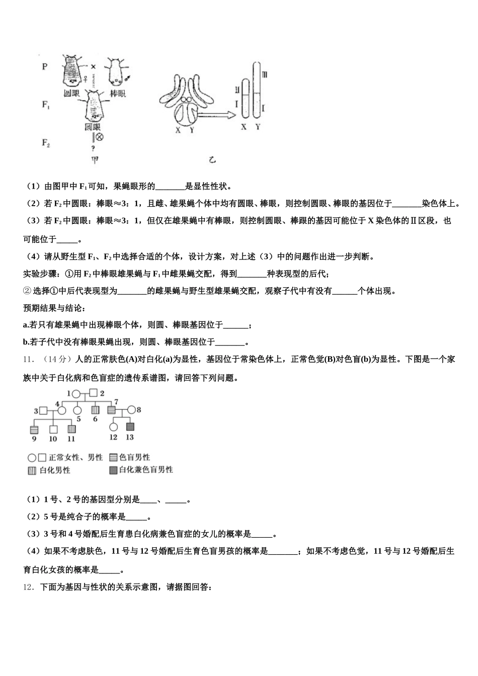 福建省莆田第六中学2024-2025学年生物高一下期末检测模拟试题含解析_第3页