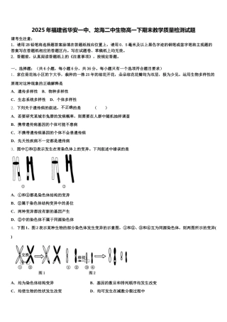 2025年福建省华安一中、龙海二中生物高一下期末教学质量检测试题含解析
