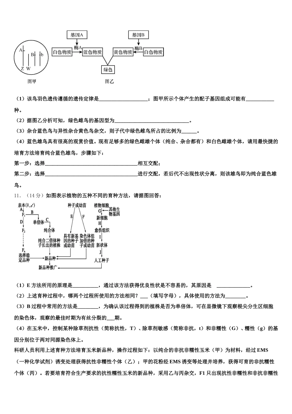 2025届福建省建瓯市第二中学生物高一下期末经典模拟试题含解析_第3页