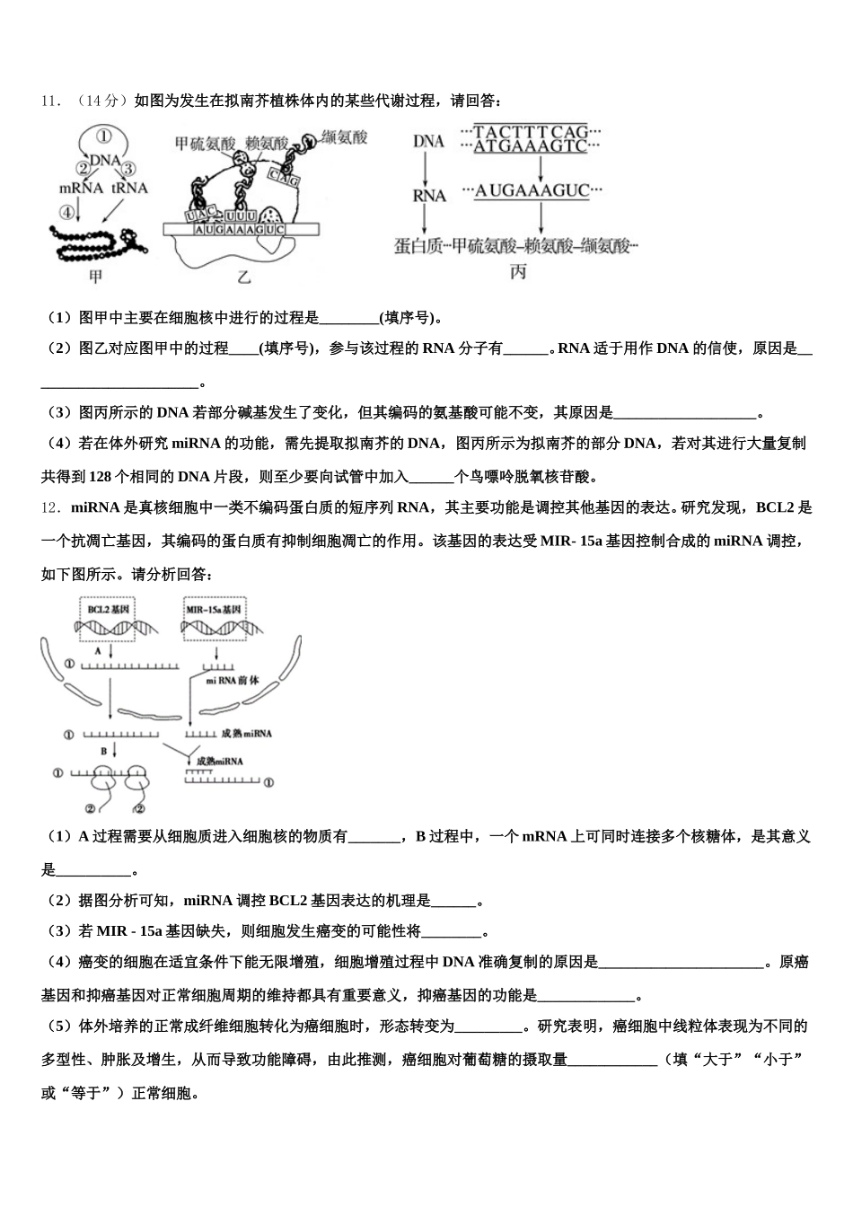 福建省华安一中2025届高一生物第二学期期末联考试题含解析_第3页