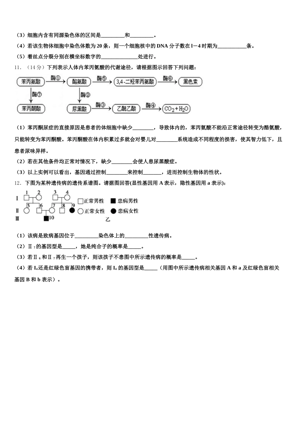福建省六校2025届高一生物第二学期期末学业质量监测模拟试题含解析_第3页