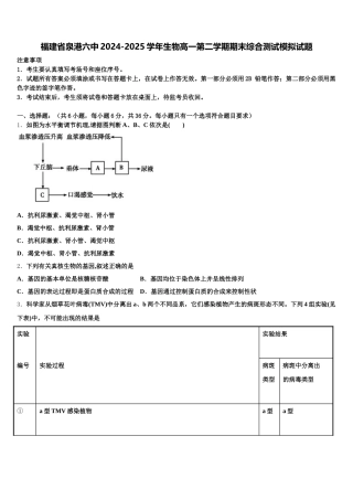 福建省泉港六中2024-2025学年生物高一第二学期期末综合测试模拟试题含解析