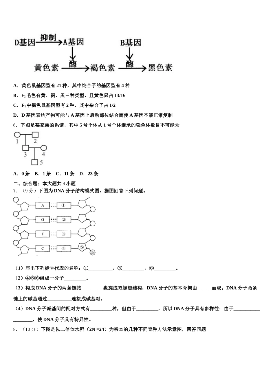福建省泉州市南安市第一中学2025届生物高一第二学期期末联考模拟试题含解析_第2页