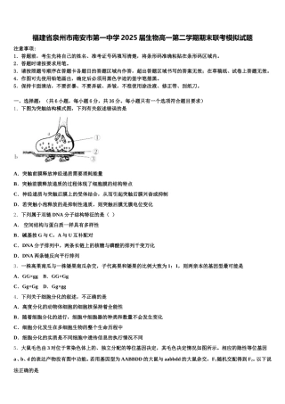 福建省泉州市南安市第一中学2025届生物高一第二学期期末联考模拟试题含解析