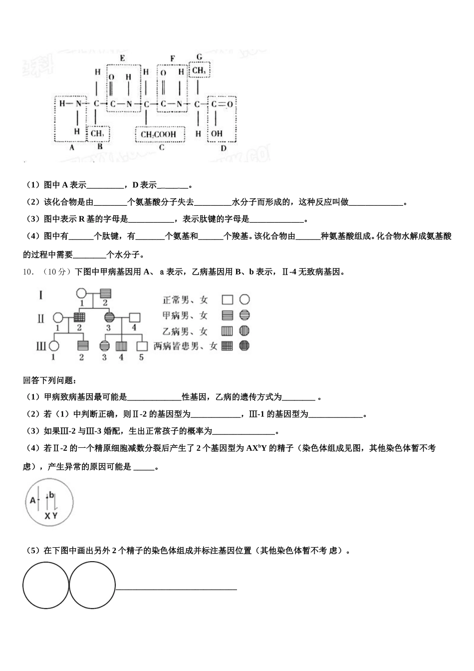 2024-2025学年福建省龙海第二中学生物高一下期末教学质量检测试题含解析_第3页