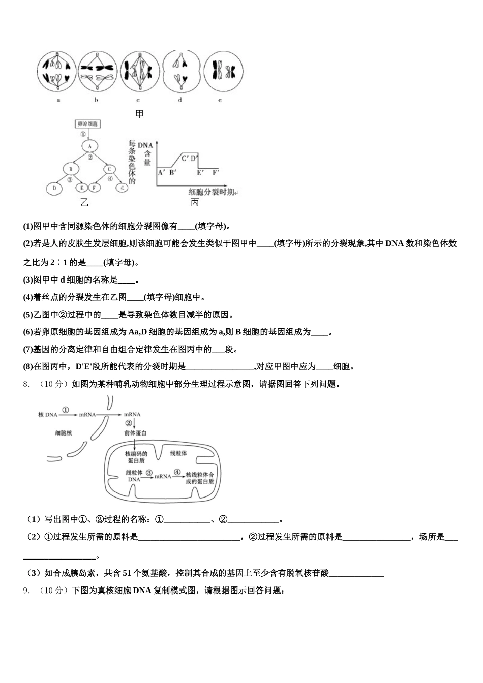 2025年福建省厦门双十中学生物高一第二学期期末经典试题含解析_第3页