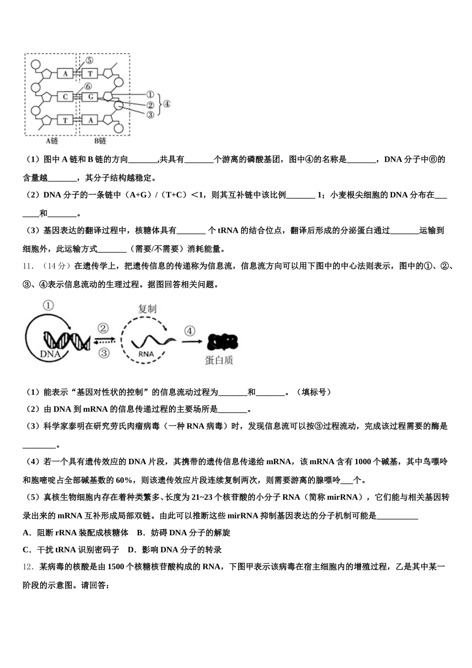 2025届福建省南安一中高一生物第二学期期末学业水平测试模拟试题含解析_第3页