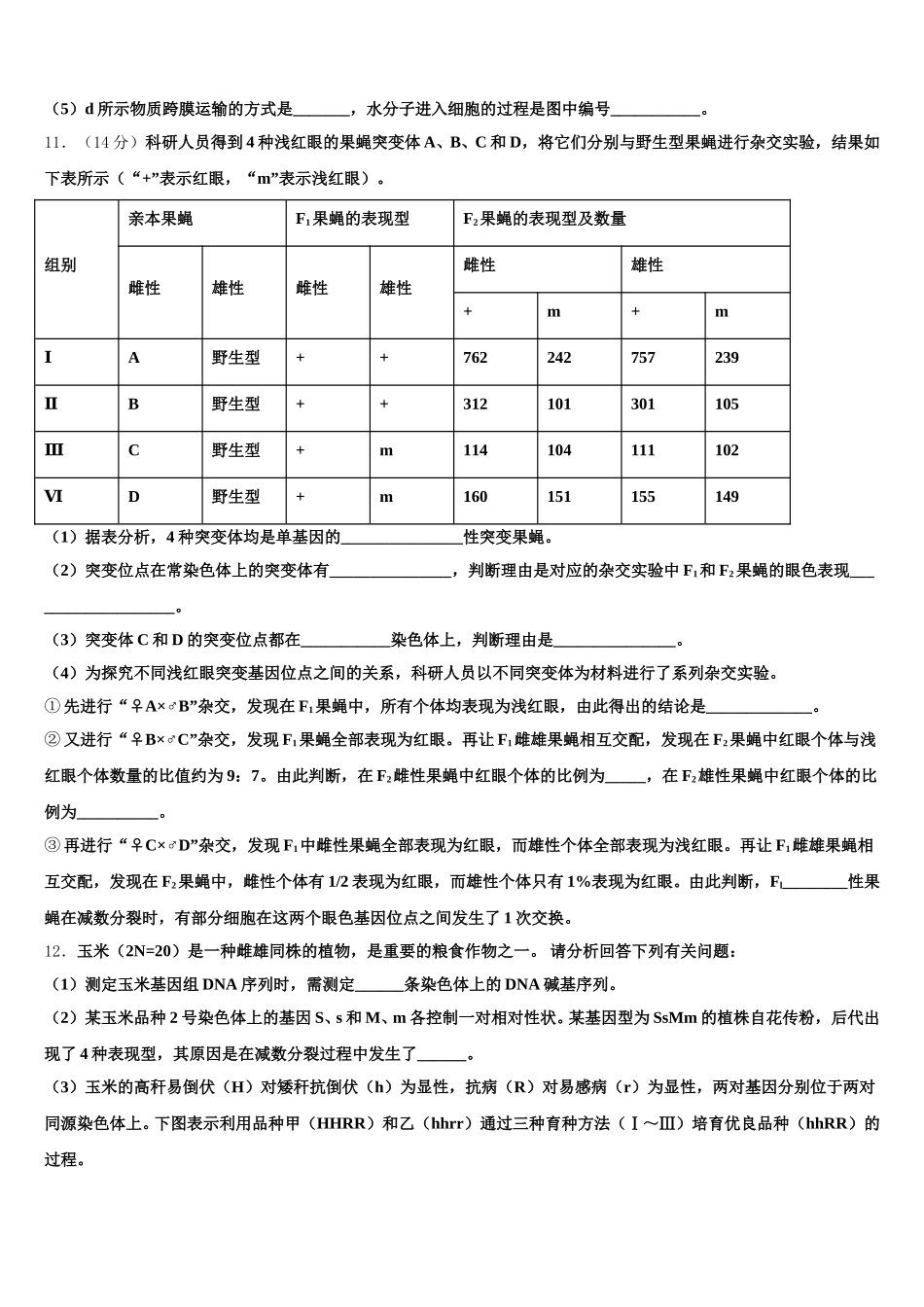福建省顺昌一中2024-2025学年高一下生物期末联考模拟试题含解析_第3页
