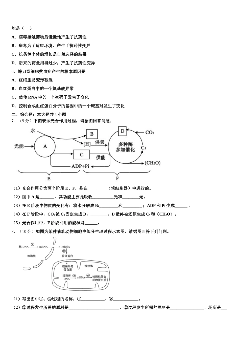 2025年福建省厦门市厦门一中生物高一第二学期期末检测模拟试题含解析_第2页