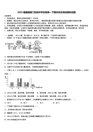 2025届福建厦门松柏中学生物高一下期末综合测试模拟试题含解析