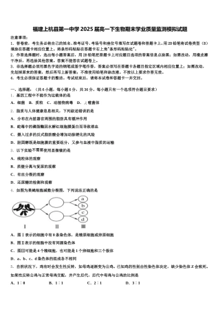 福建上杭县第一中学2025届高一下生物期末学业质量监测模拟试题含解析