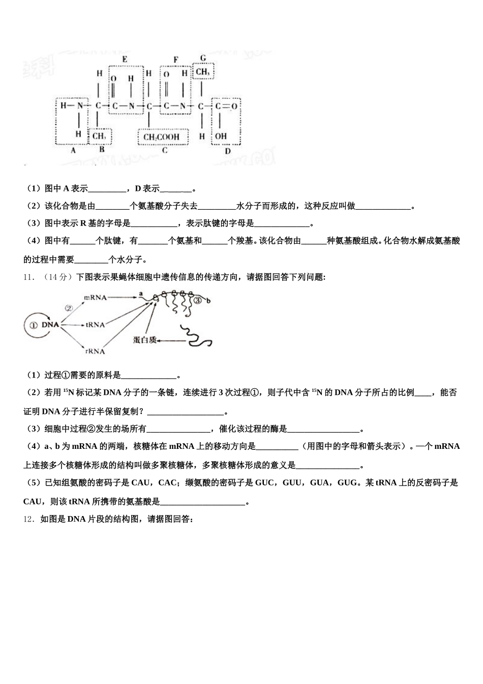 2025届福建省闽侯第六中学生物高一第二学期期末学业水平测试试题含解析_第3页