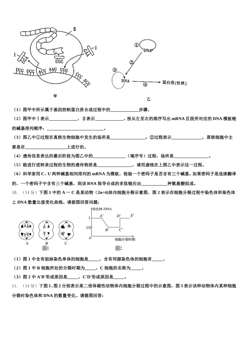 福建省莆田市第六中学2024-2025学年生物高一下期末质量跟踪监视试题含解析_第3页