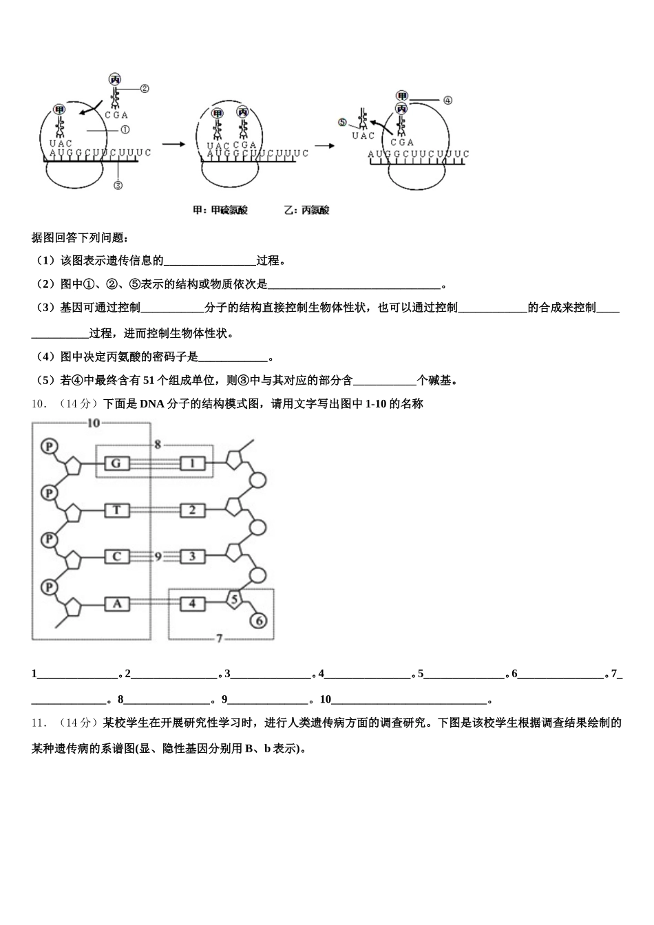 2025届福建省福州市金山中学生物高一第二学期期末考试试题含解析_第3页