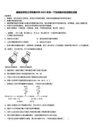 福建省师范大学附属中学2025年高一下生物期末检测模拟试题含解析