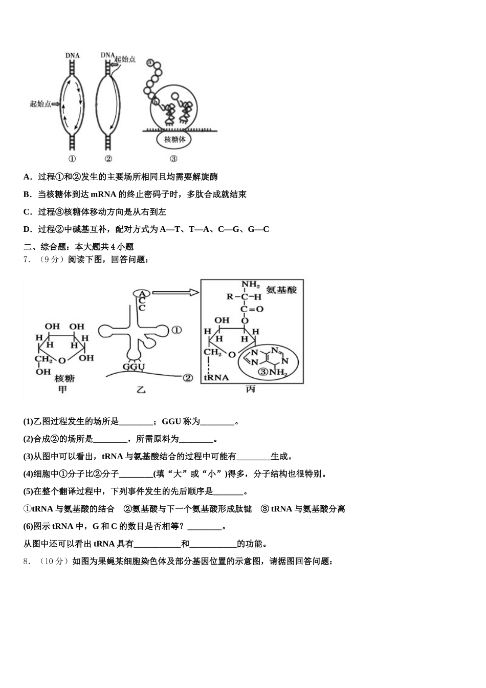 2025年福建省安溪八中生物高一第二学期期末检测试题含解析_第2页