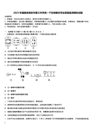 2025年福建省南安市第三中学高一下生物期末学业质量监测模拟试题含解析