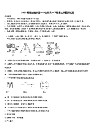 2025届福建省泉港一中生物高一下期末达标检测试题含解析