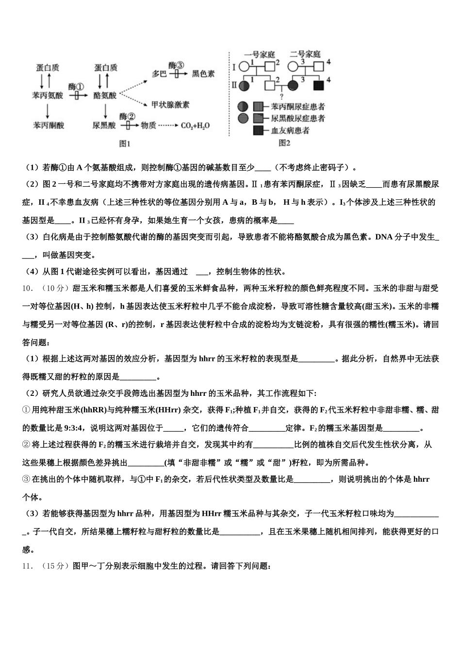 2024-2025学年福建省福建师范大学附属中学高一下生物期末统考试题含解析_第3页