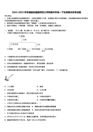 2024-2025学年福建省福建师范大学附属中学高一下生物期末统考试题含解析
