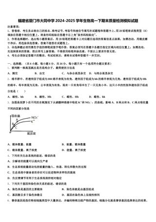 福建省厦门市大同中学2024-2025学年生物高一下期末质量检测模拟试题含解析