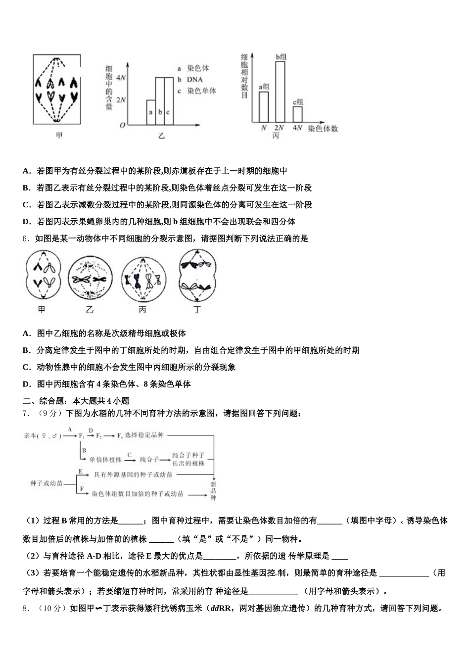 2024-2025学年福建省漳浦达志中学高一下生物期末经典模拟试题含解析_第2页
