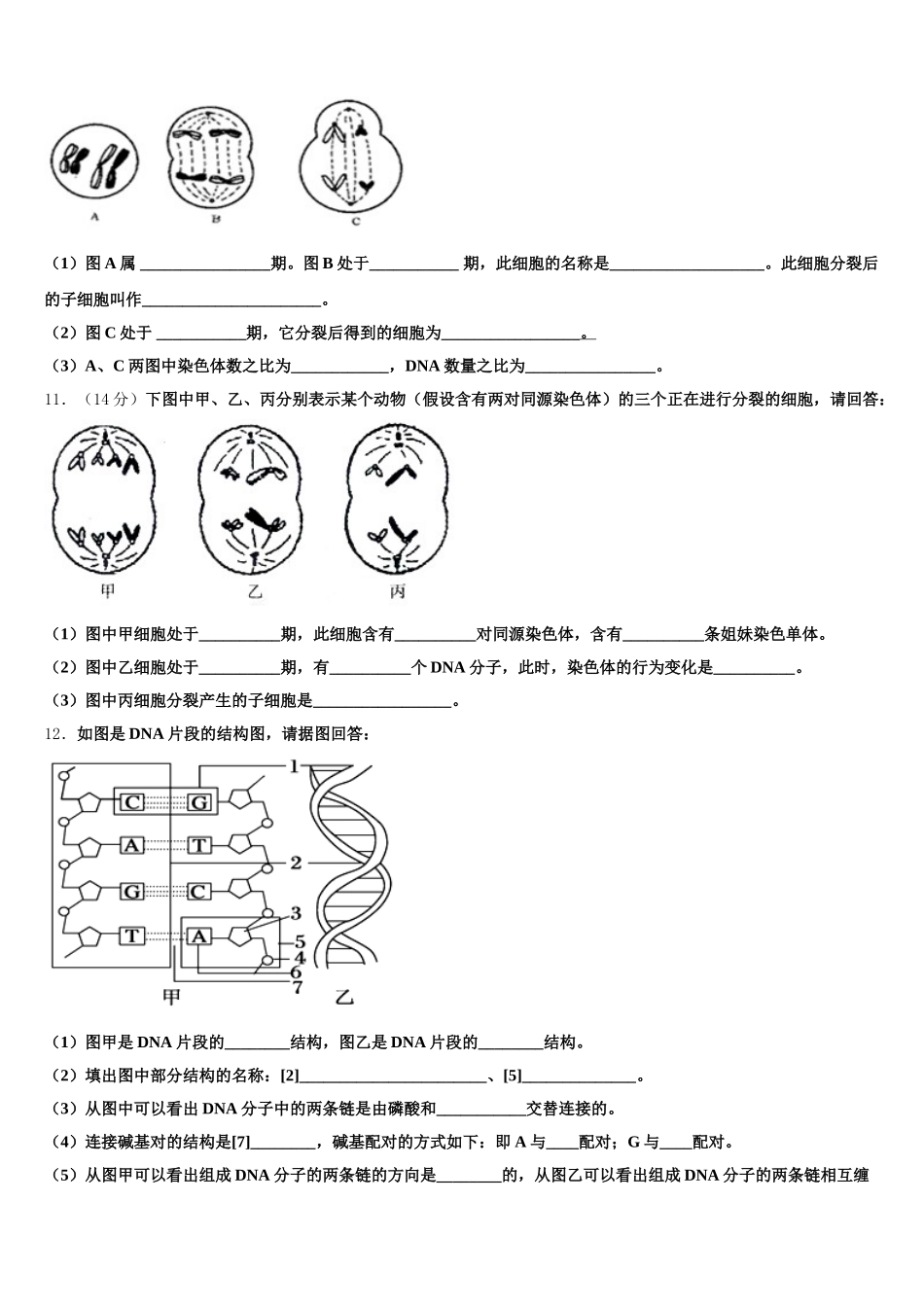 吉林省吉林市第五十五中学2024-2025学年生物高一下期末联考模拟试题含解析_第3页