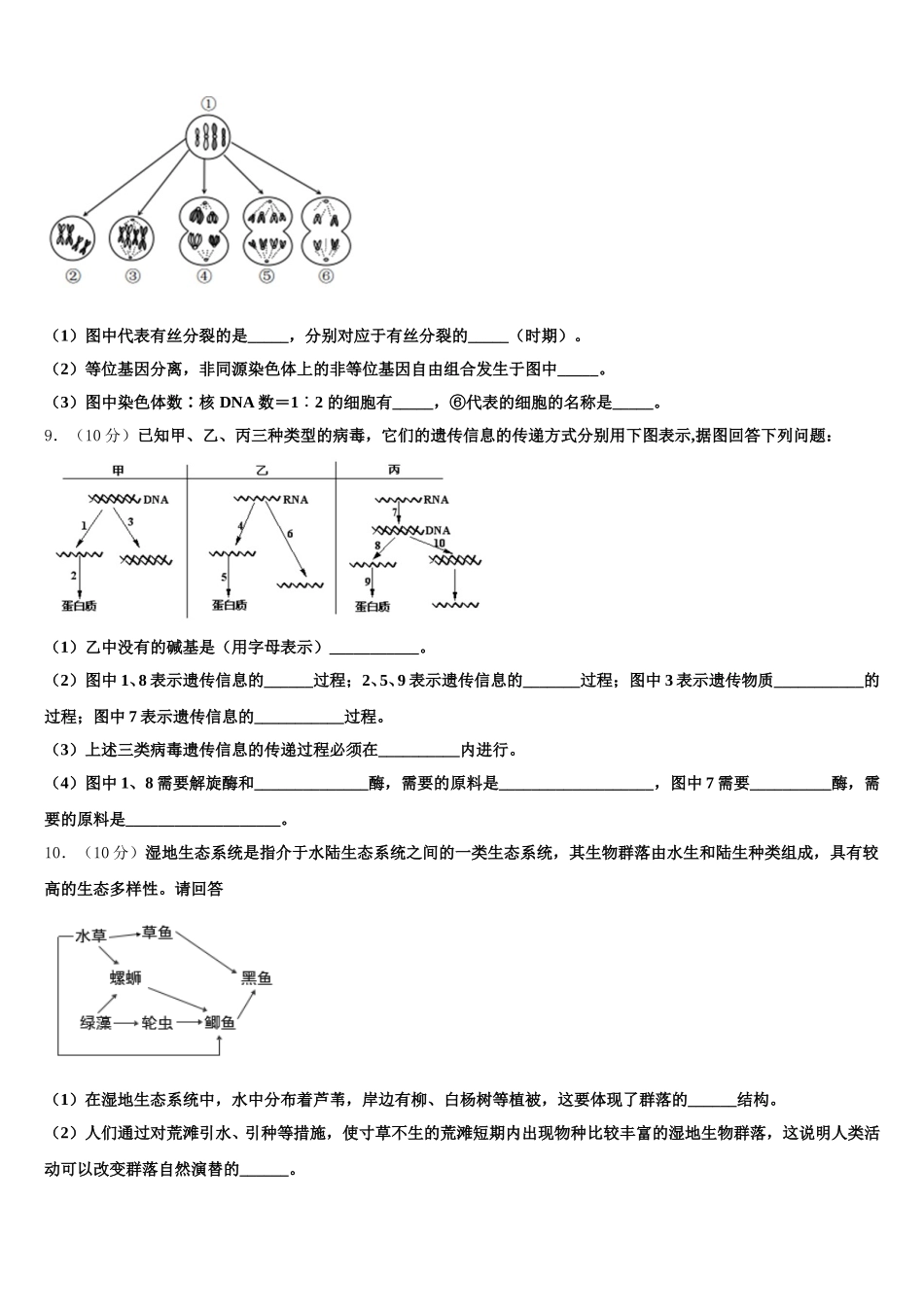 2025届吉林省通化市辉南县第一中学生物高一下期末检测试题含解析_第3页