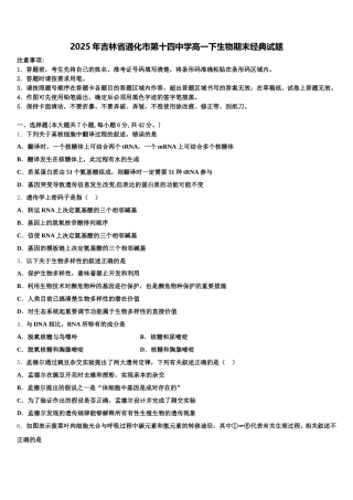 2025年吉林省通化市第十四中学高一下生物期末经典试题含解析