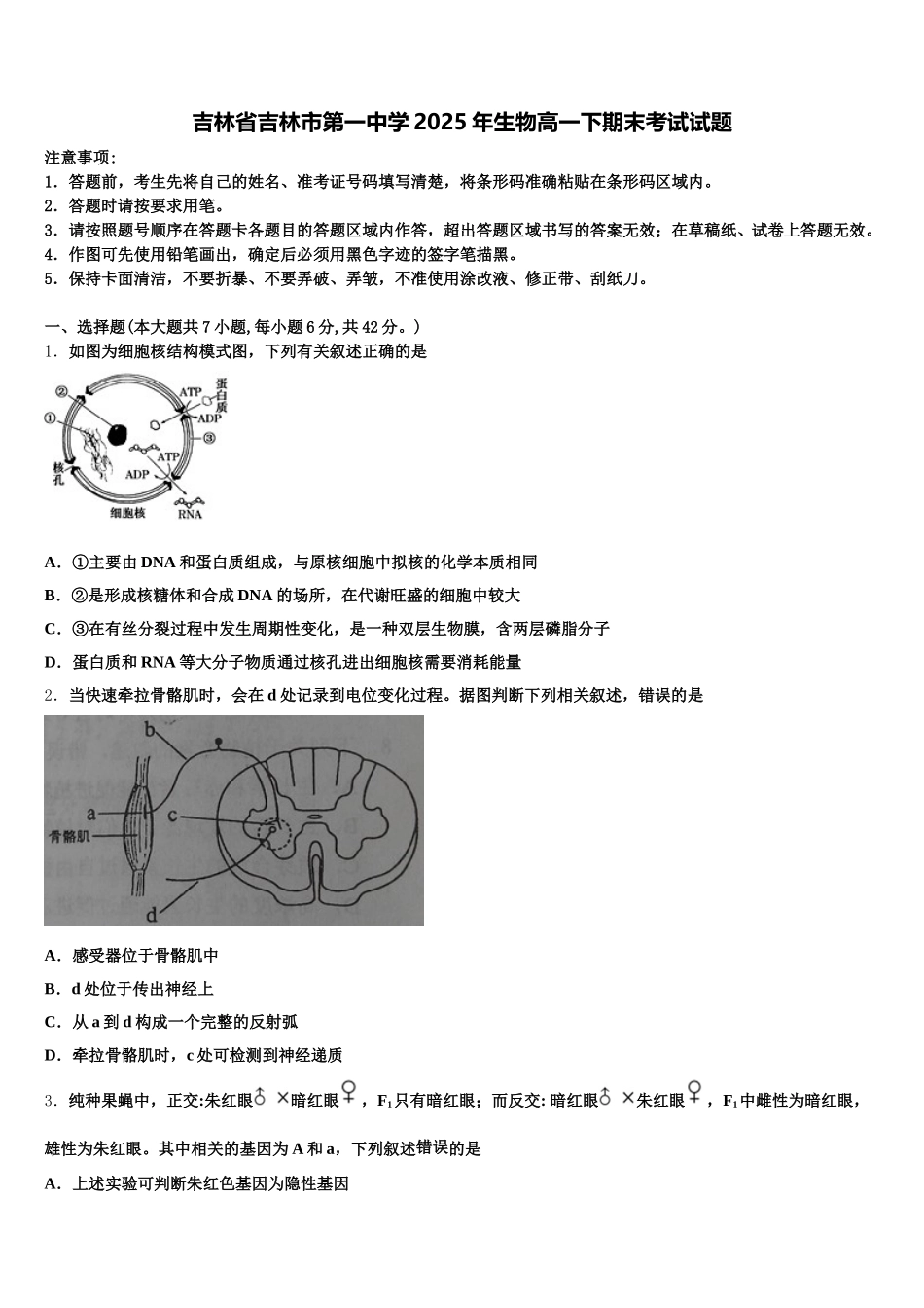 吉林省吉林市第一中学2025年生物高一下期末考试试题含解析_第1页