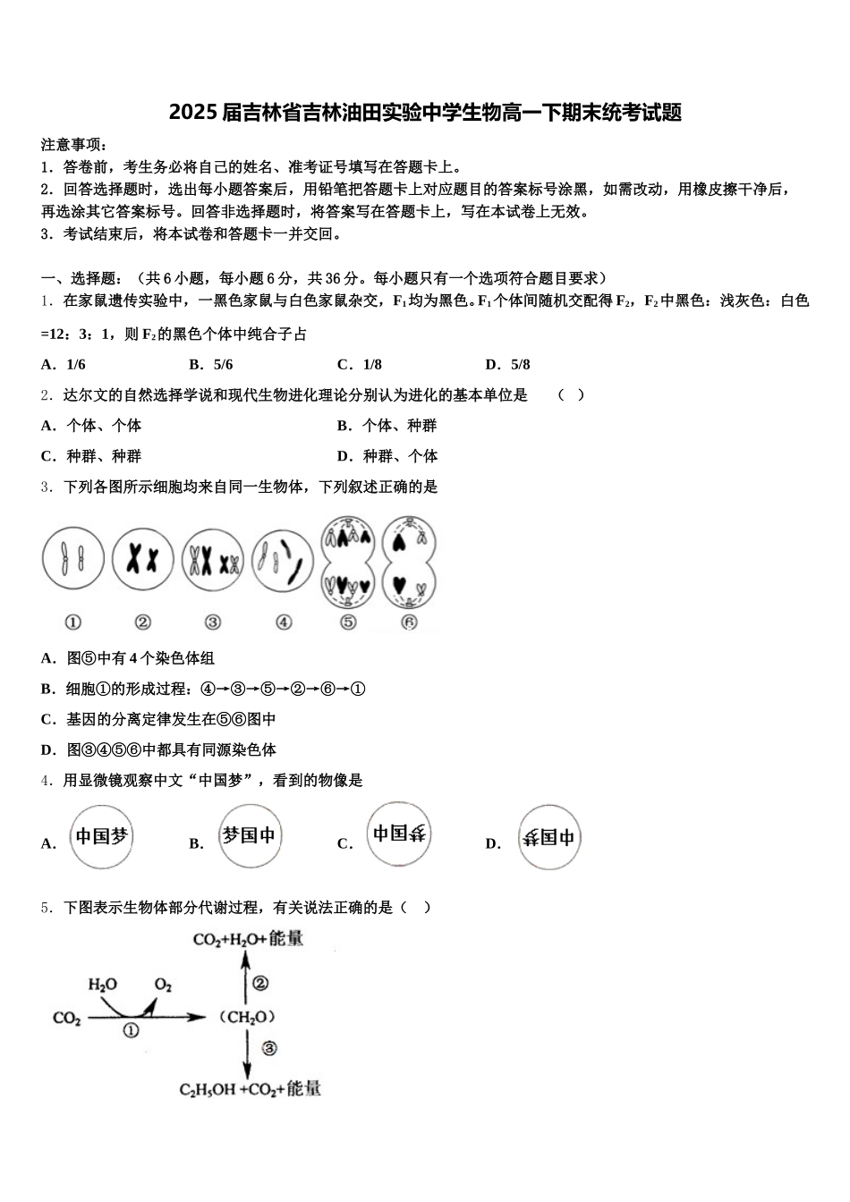 2025届吉林省吉林油田实验中学生物高一下期末统考试题含解析_第1页