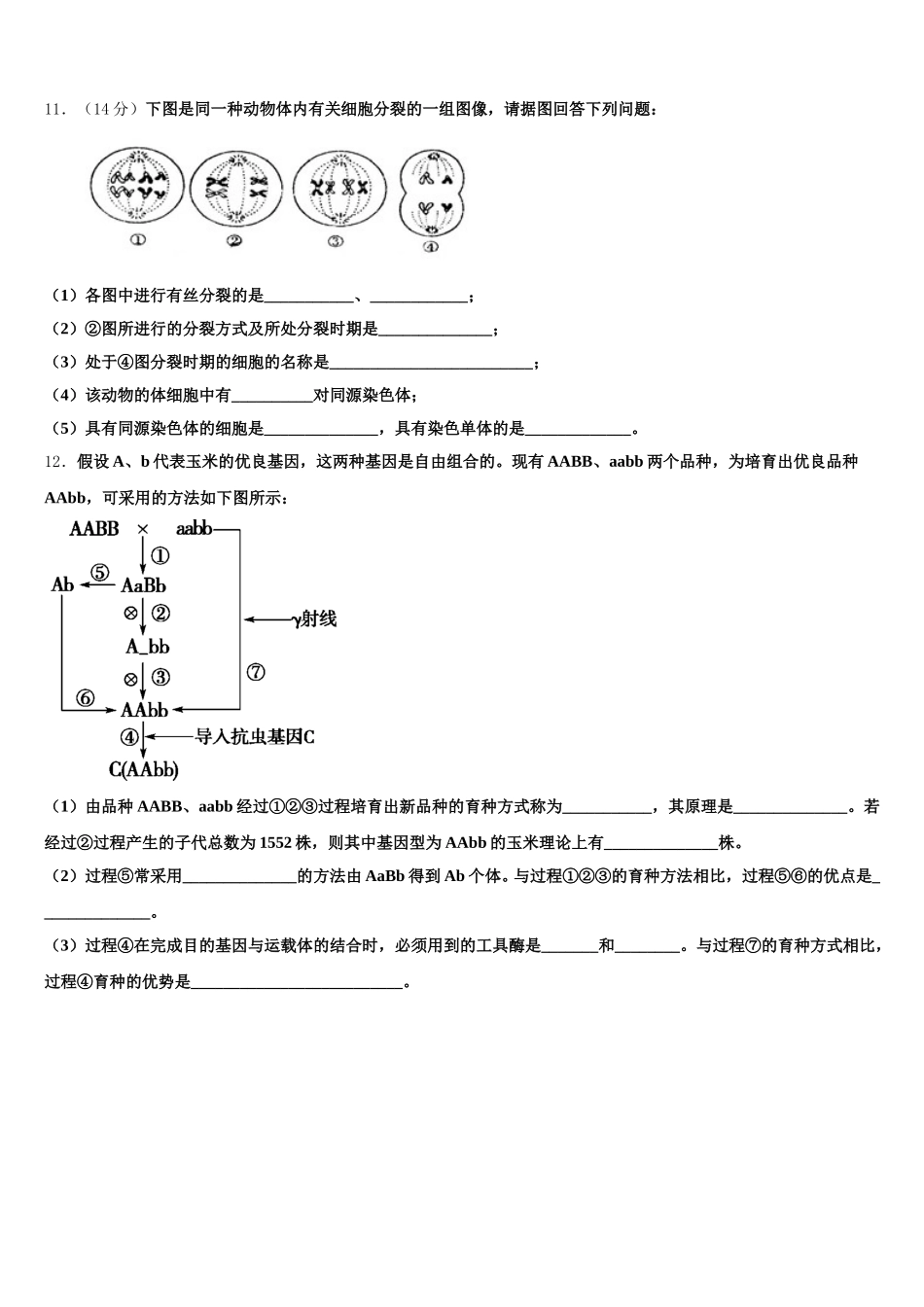 2024-2025学年吉林省长春市九台示范高级中学高一下生物期末教学质量检测模拟试题含解析_第3页