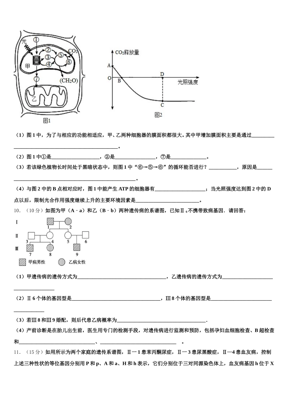 2024-2025学年吉林省白山市第七中学高一下生物期末综合测试模拟试题含解析_第3页