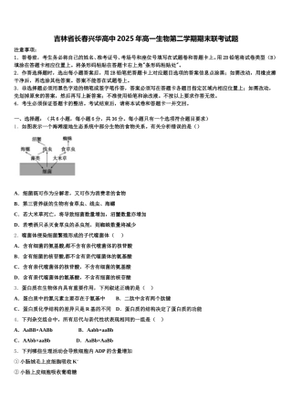 吉林省长春兴华高中2025年高一生物第二学期期末联考试题含解析