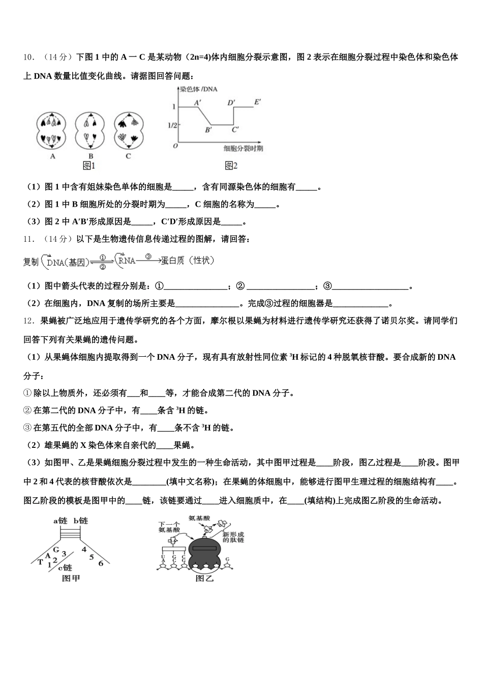 2024-2025学年吉林省东北师范大学附属中学生物高一下期末考试模拟试题含解析_第3页